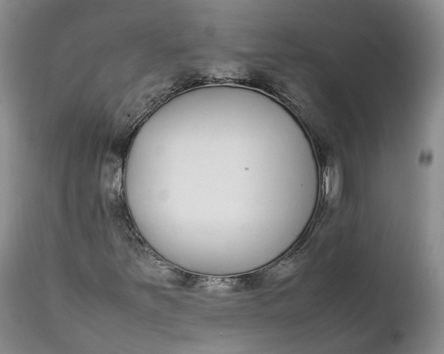 X0000111371251200907241237