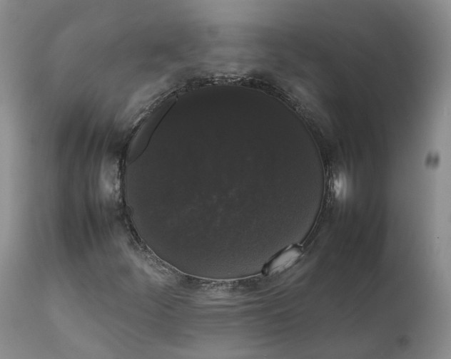 X0000111371252200907241237