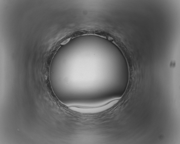 X0000111371253200907241237