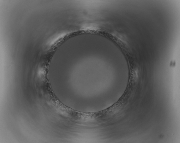 X0000111371254200907241237