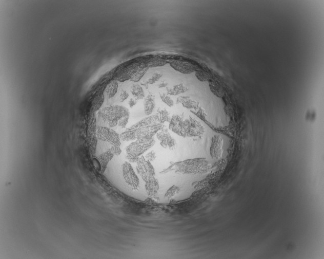 X0000111371255200907241237