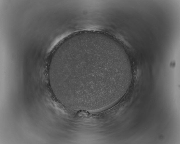 X0000111371256200907241237