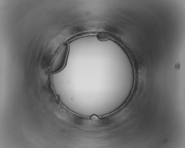 X0000111371257200907241237