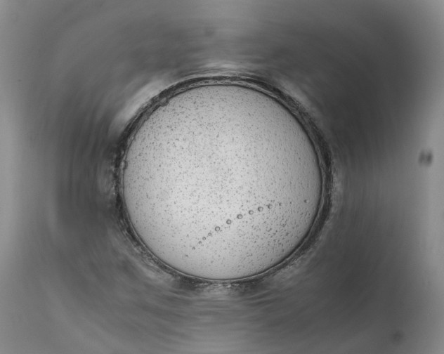 X0000111371259200907241237