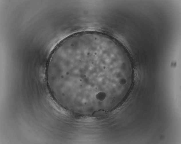 X0000111371260200907241237