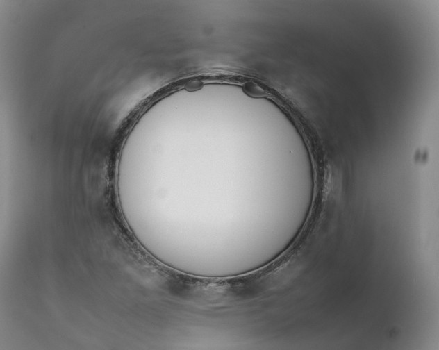 X0000111371261200907241237