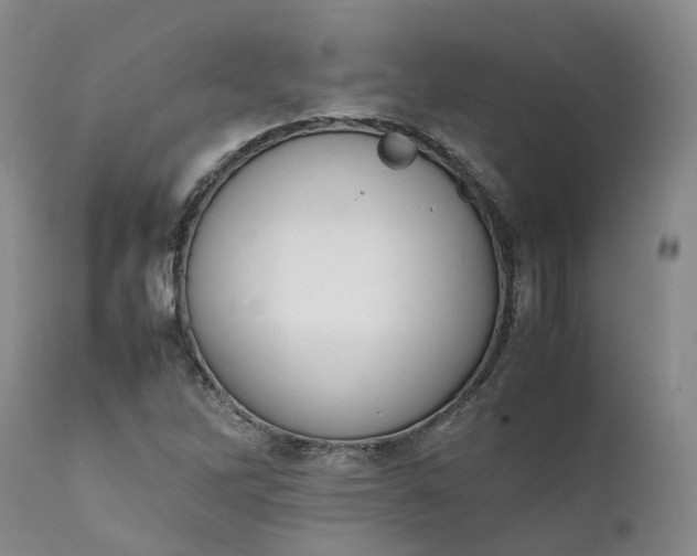 X0000111371262200907241237