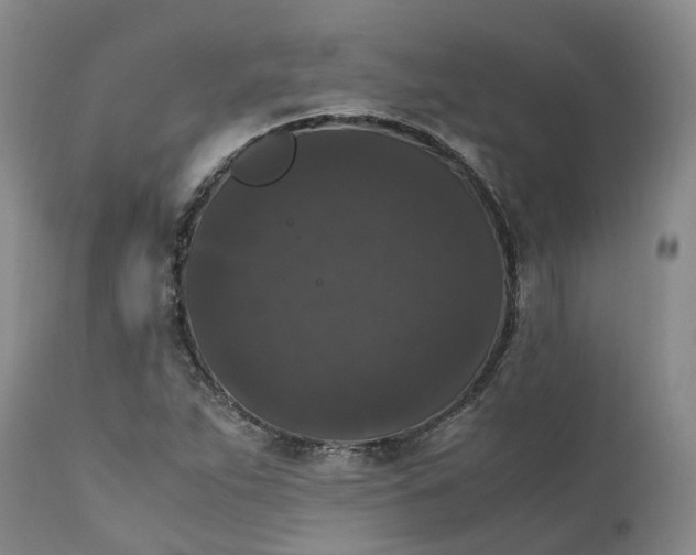 X0000111371263200907241237