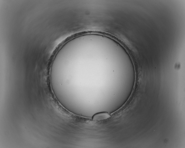 X0000111371264200907241237