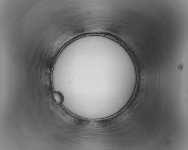 X0000111371265200907241237