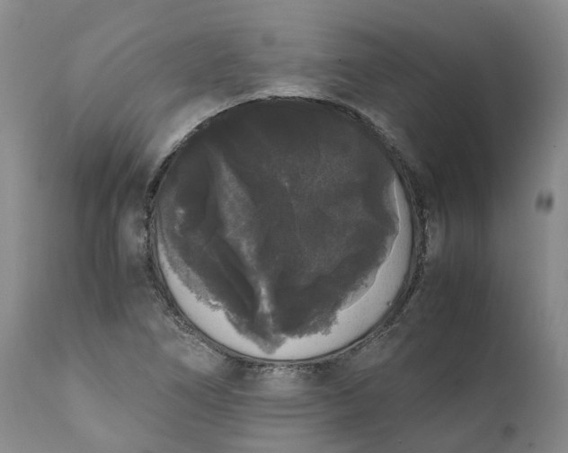 X0000111371266200907241237