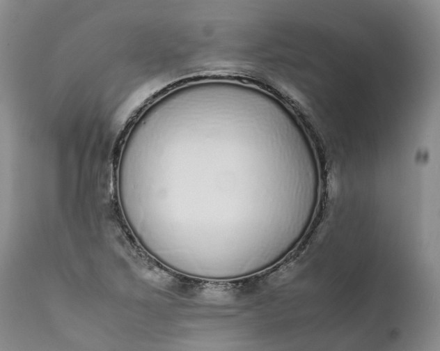 X0000111371267200907241237