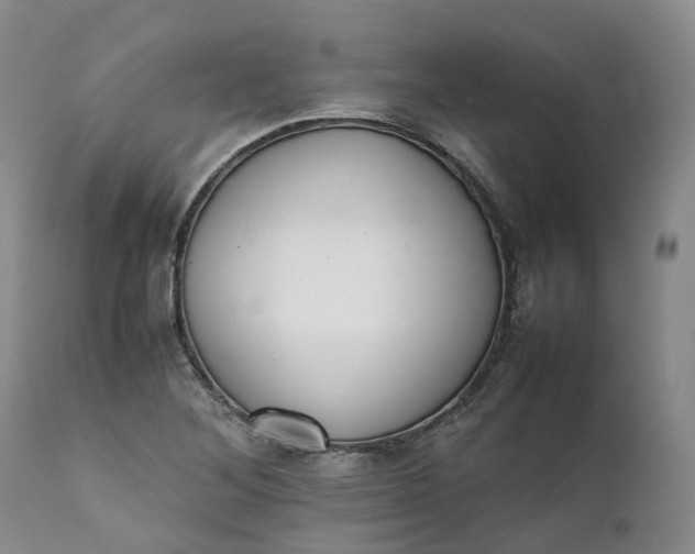 X0000111371268200907241237