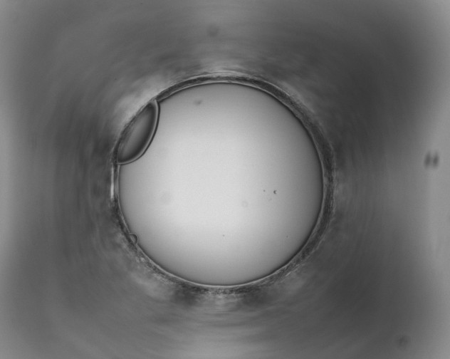 X0000111371269200907241237