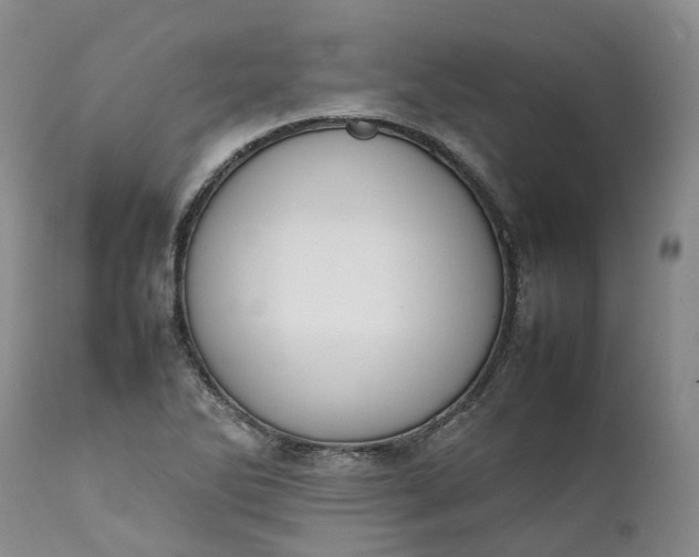 X0000111371270200907241237