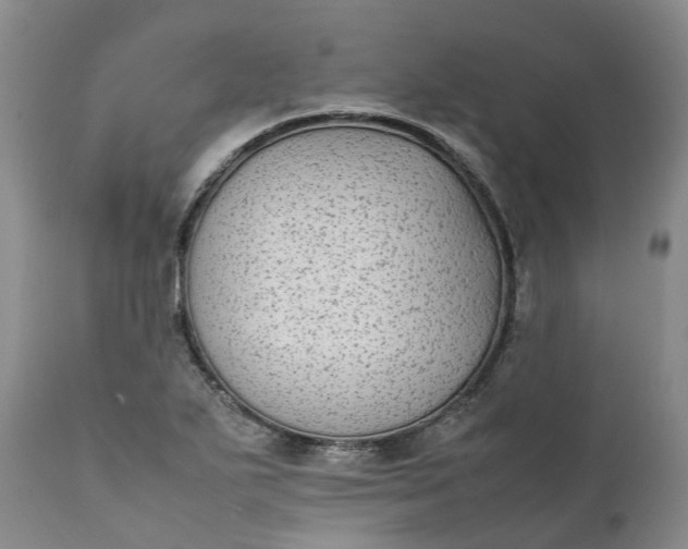 X0000111371271200907241237