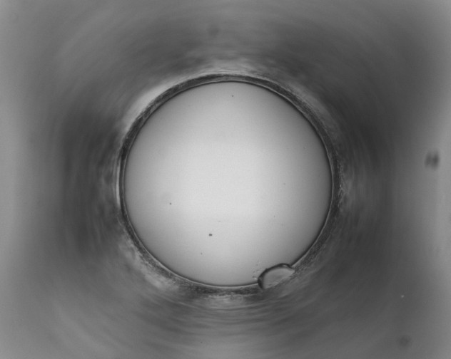 X0000111371272200907241237