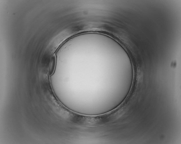 X0000111371273200907241237