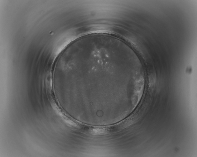 X0000111371274200907241237