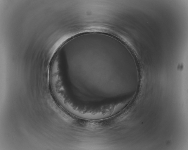 X0000111371275200907241237