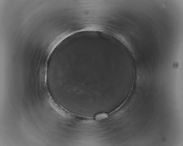 X0000111371276200907241237