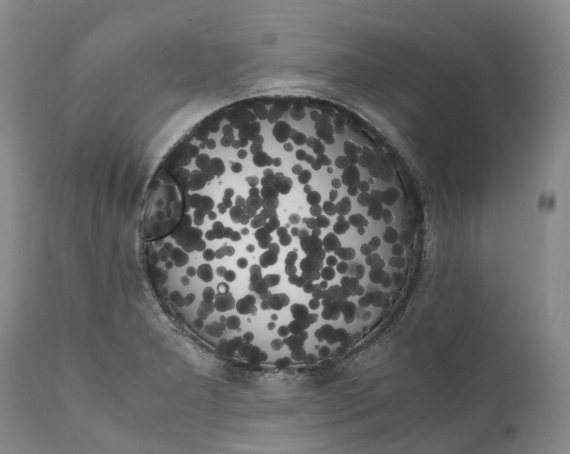 X0000111371277200907241237