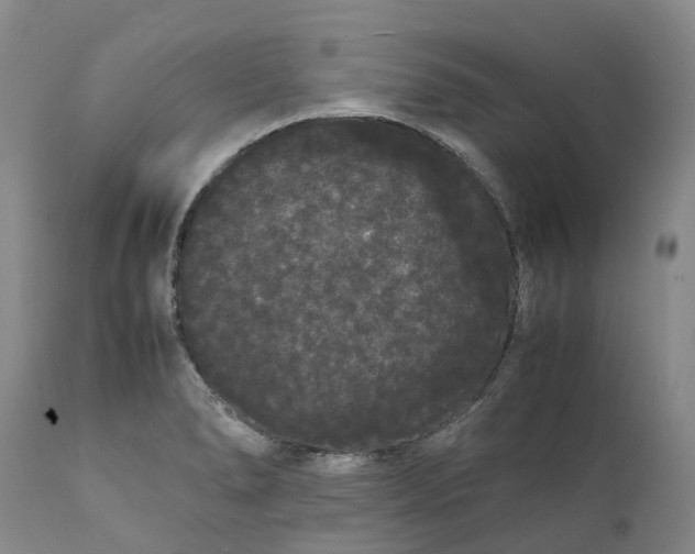 X0000111371278200907241237