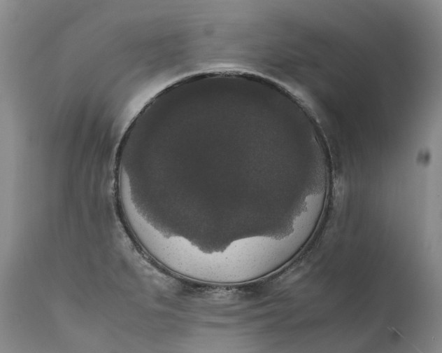 X0000111371279200907241237