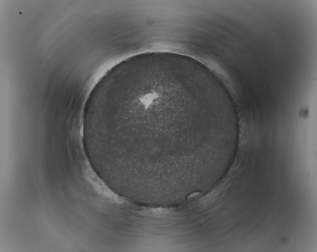 X0000111371280200907241237