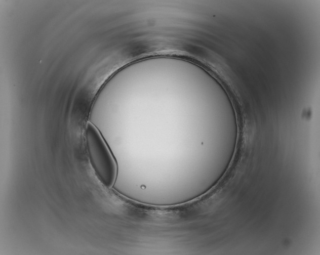 X0000111371281200907241237