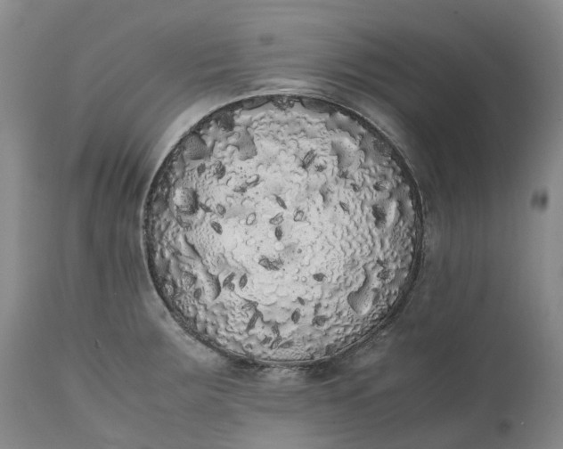 X0000111371283200907241237