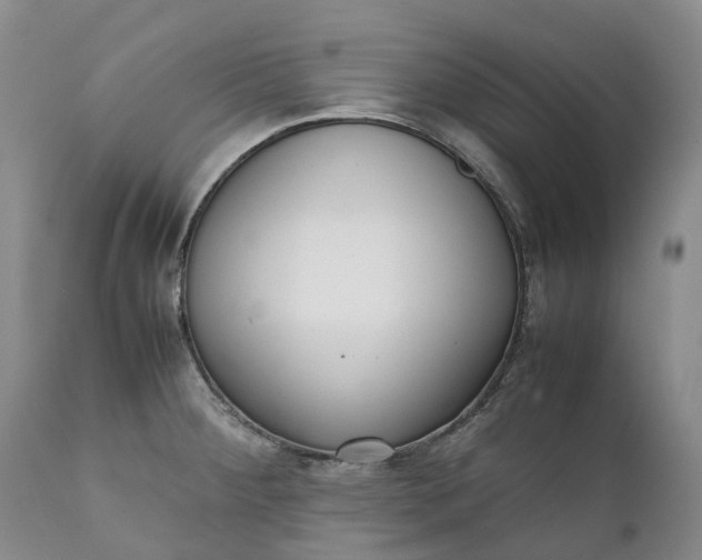 X0000111371284200907241237