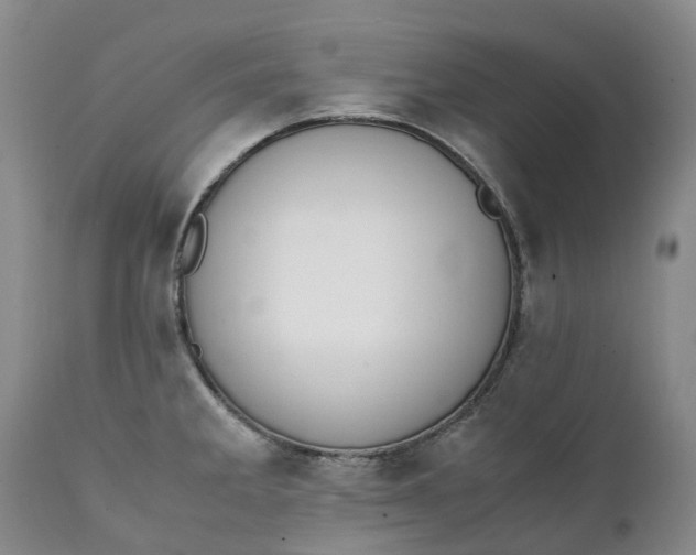 X0000111371285200907241237