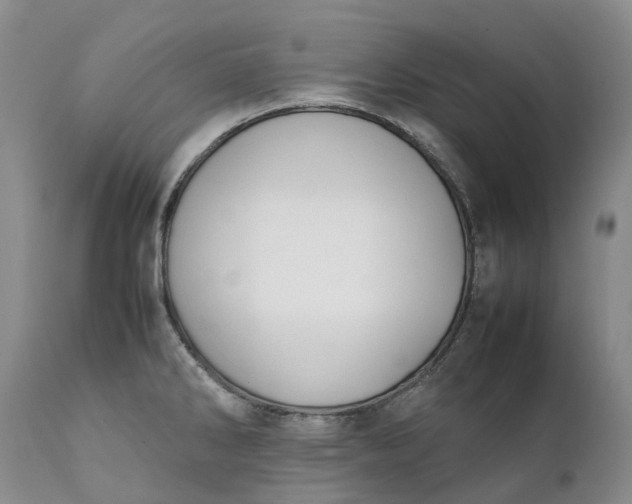 X0000111371286200907241237