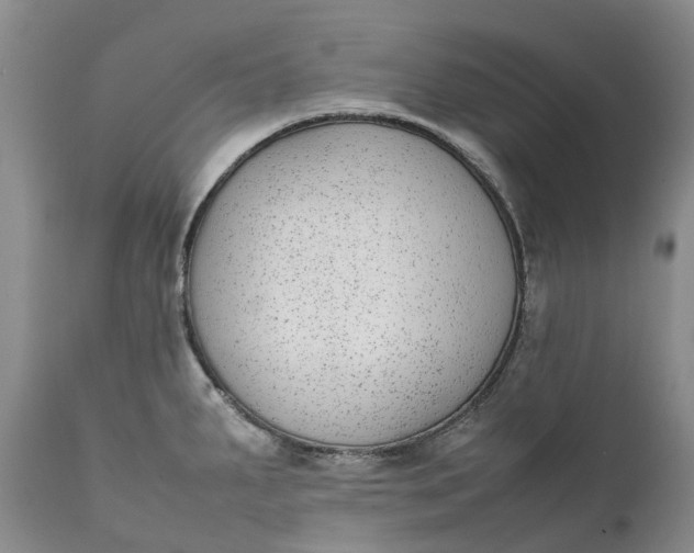 X0000111371287200907241237