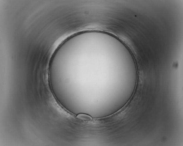 X0000111371288200907241237