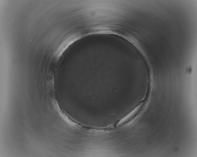 X0000111371289200907241237