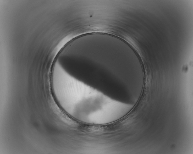 X0000111371291200907241237