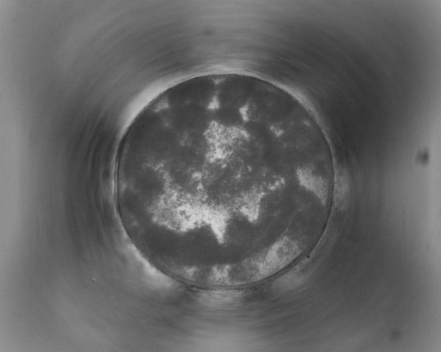 X0000111371294200907241237