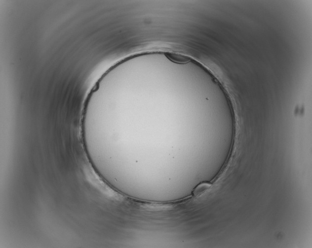 X0000111371296200907241237