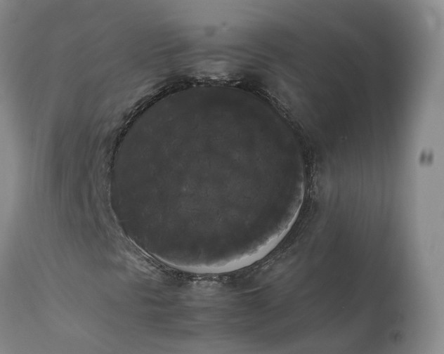 X0000111371297200907241236