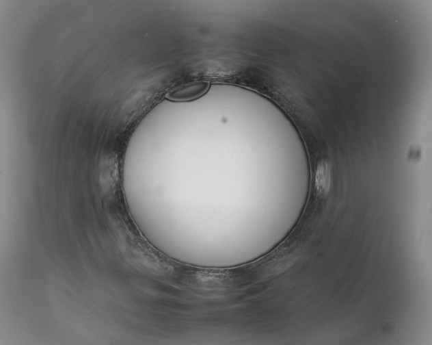 X0000111371299200907241236