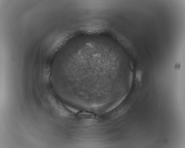 X0000111371300200907241236