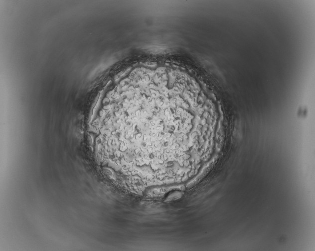 X0000111371301200907241236