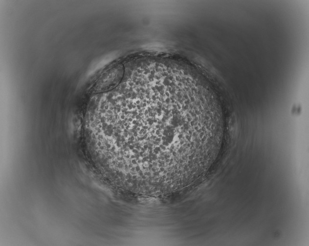 X0000111371302200907241236