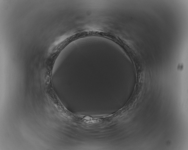 X0000111371303200907241236