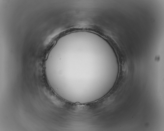 X0000111371304200907241236