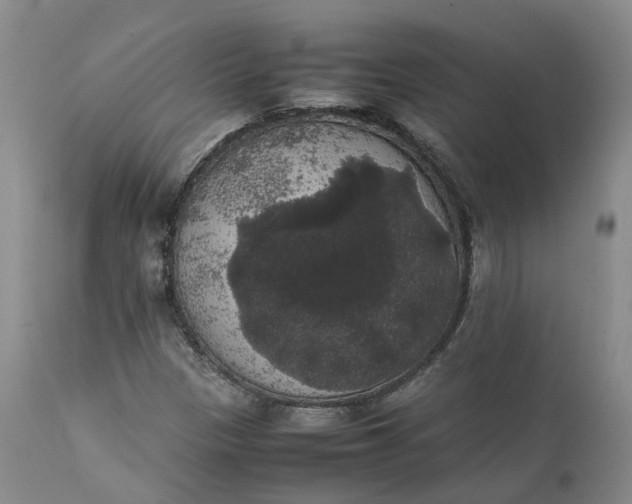 X0000111371305200907241236