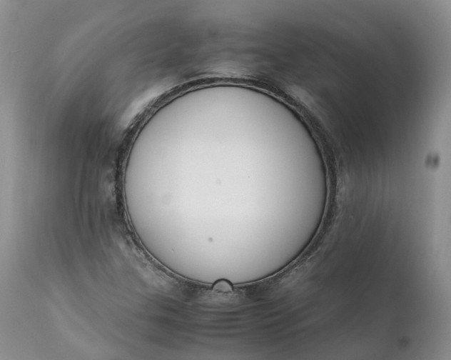 X0000111371307200907241236