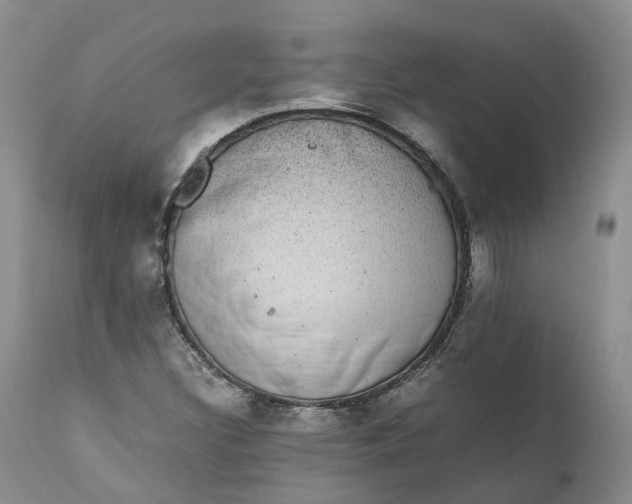 X0000111371308200907241236